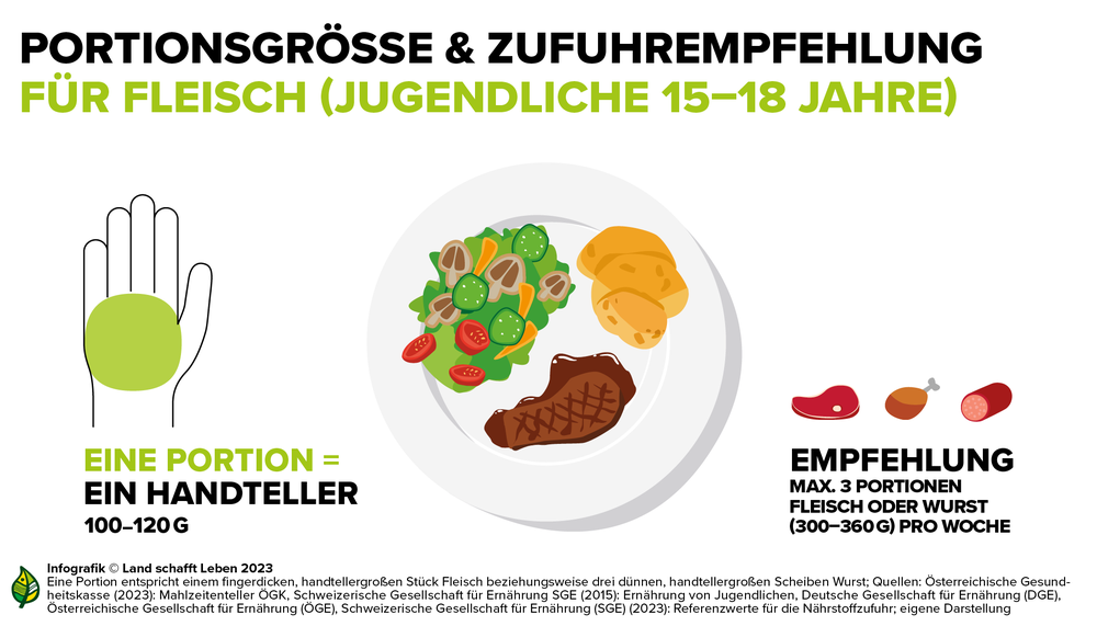 Infografik zur Portionsgröße und Zufuhrempfehlung für Jugendliche bezüglich Fleisch | © Land schafft Leben