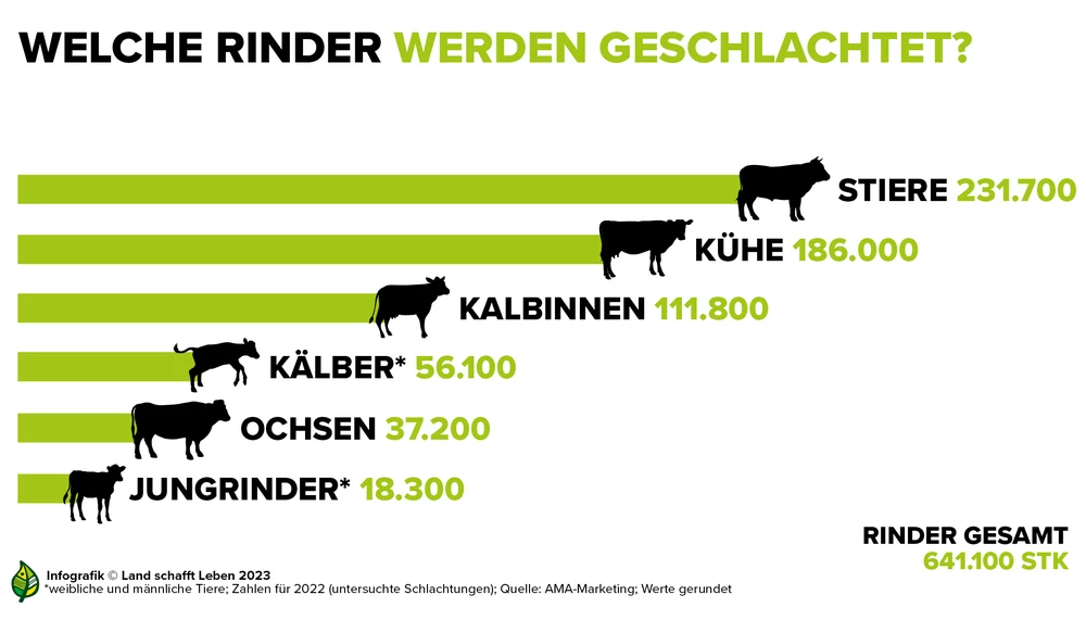 Wie Lange Lebt Eine Kuh Bis Zur Schlachtung