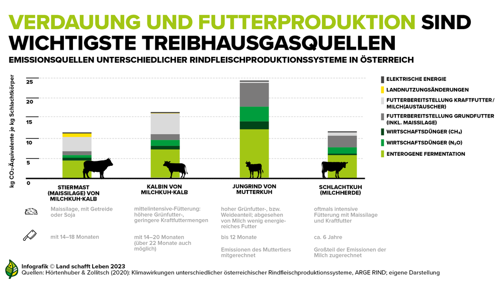 Infografik zu den Emissionsquellen unterschiedlicher Rindfleischproduktionssysteme in Österreich | © Land schafft Leben
