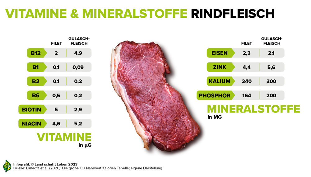 Infografik zu den Vitaminen und Minderalstoffen im Rindfleisch | © Land schafft Leben