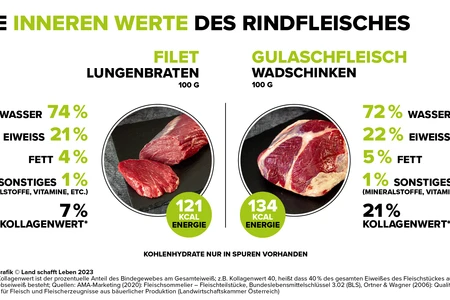 Infografiken Rind | Land schafft Leben