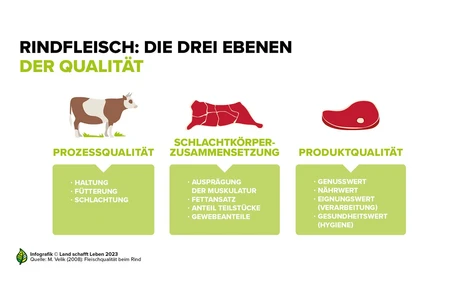 Infografiken Rind | Land schafft Leben