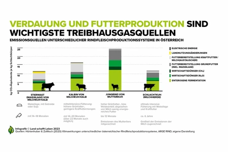 Infografiken Rind | Land schafft Leben