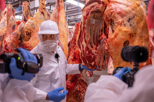 Rinderhälften im Schlachthof mit Schlachtmitarbeiter | © Land schafft Leben