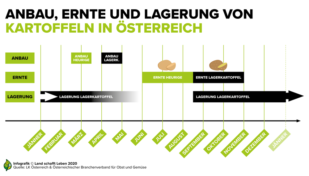Saisonkalender - Kartoffel in Österreich | © Land schafft Leben, 2020