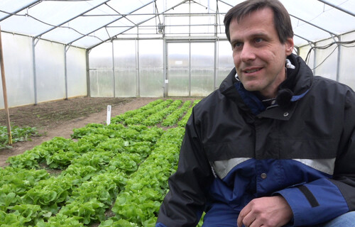 wintersalat forschung | © Land schafft Leben, 2017 wintersalat forschung | © Land schafft Leben, 2017