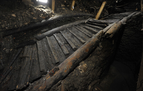 Älteste Treppe Europas, Holzstiege aus Bronzezeit  | © Naturhistorisches Museum Wien 