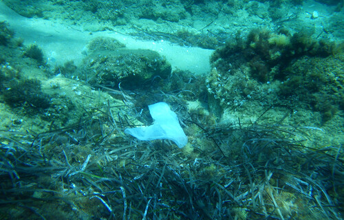 Plastiksack im Meer Plasticksack im Meer