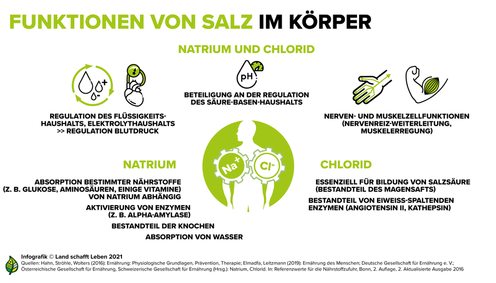 Funktionen von Salz, wie wirken Natrium und Chlorid  | © Land schafft Leben