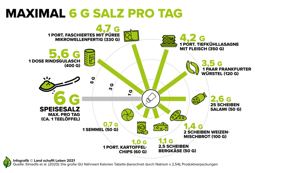 Infografik zur Empfehlung bezüglich Salzkonsum | © Land schafft Leben