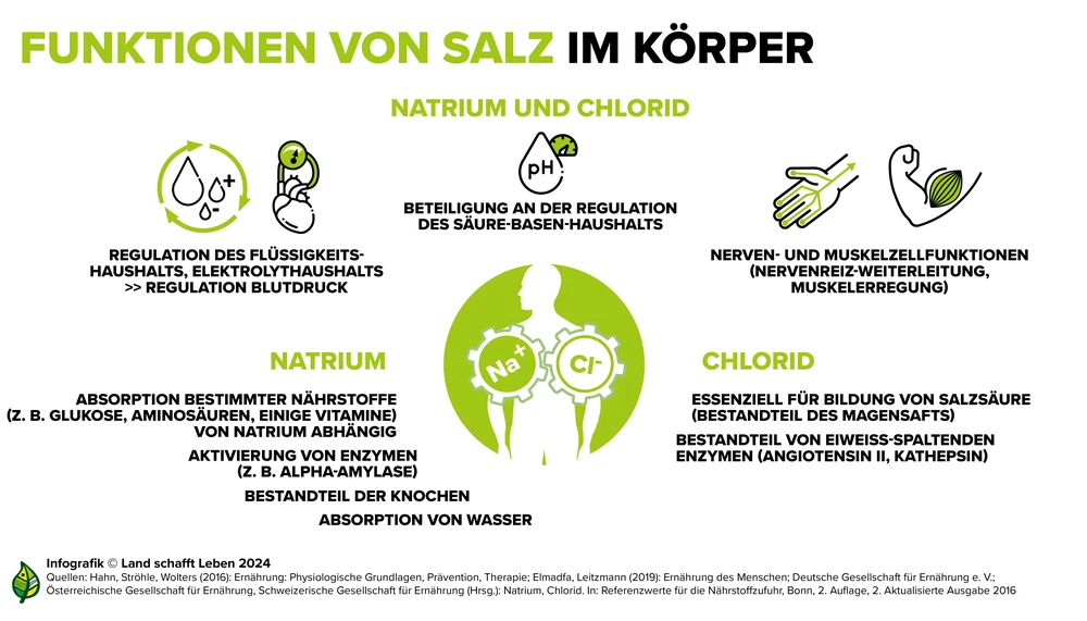Gesundheitliche Wirkung von Salz Land schafft Leben