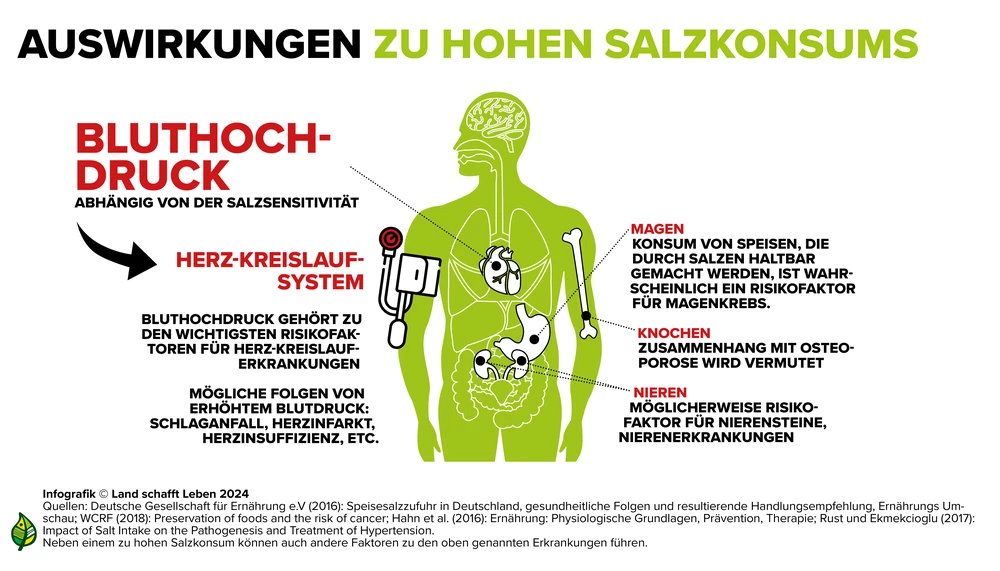 Gesundheitliche Wirkung von Salz Land schafft Leben