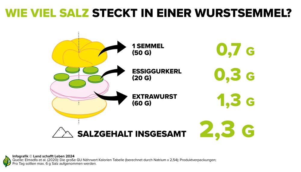 Gesundheitliche Wirkung von Salz Land schafft Leben