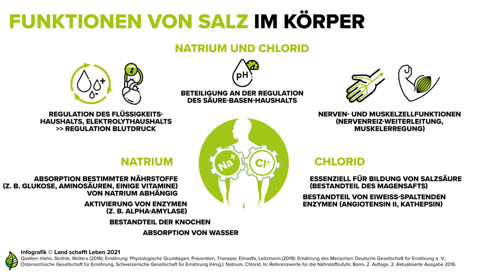 Gesundheitliche Wirkung von Salz | Land schafft Leben