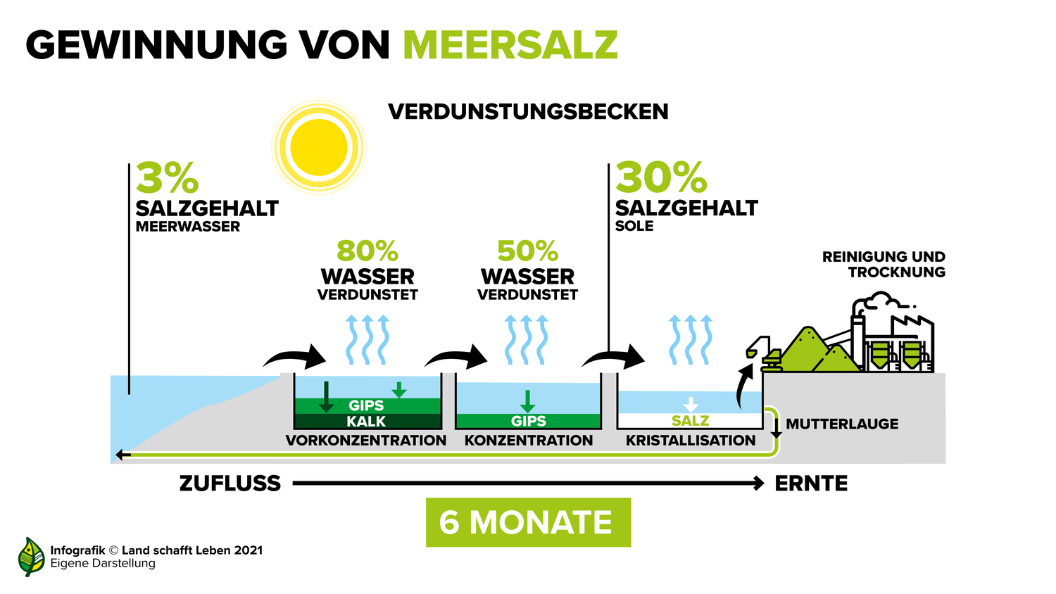 Woher Kommt Das Salz Im Meer Lied