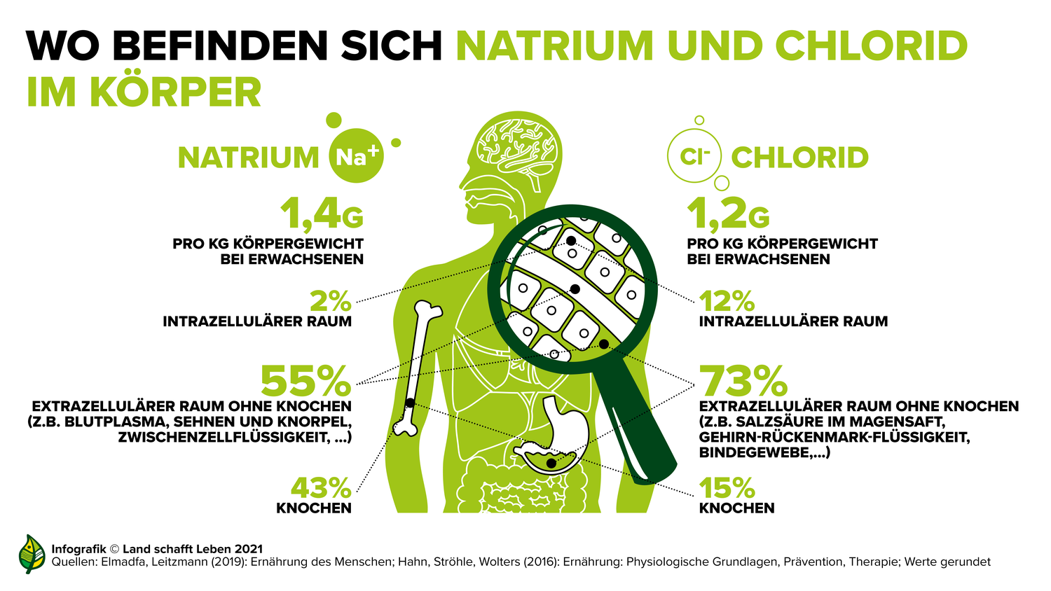 Gesundheitliche Wirkung von Salz | Land schafft Leben