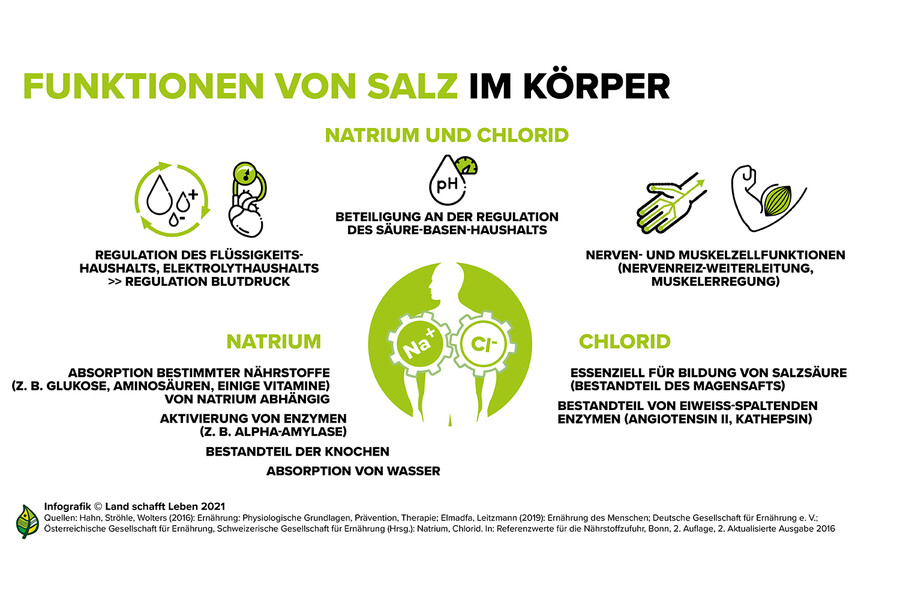 Was Macht Salz Mit Wasser Im Körper www.landschafftleben.at