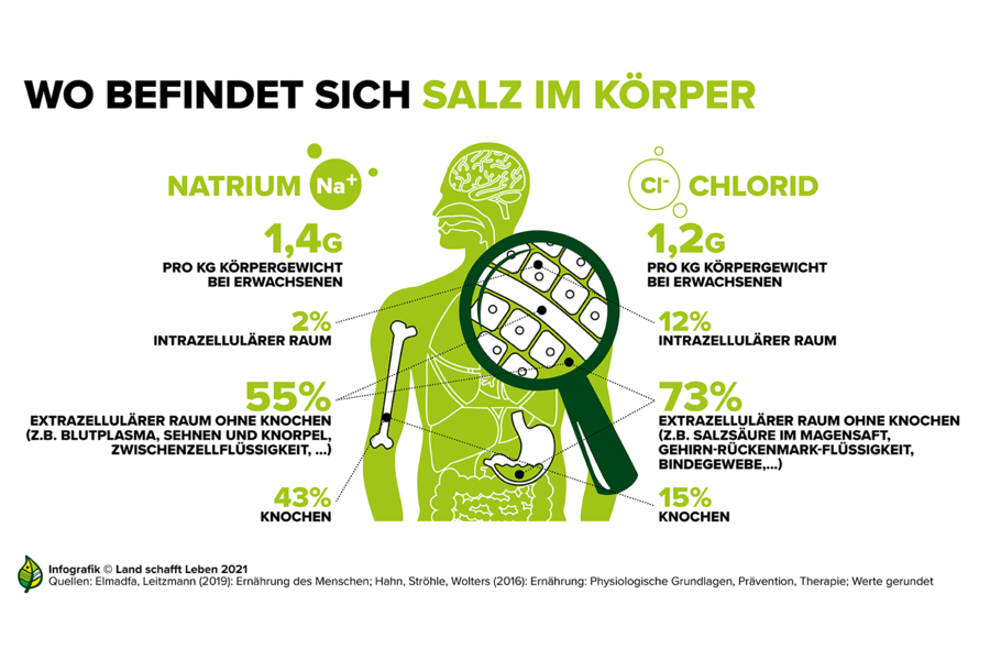 Infografiken zum Salz I Land schafft Leben