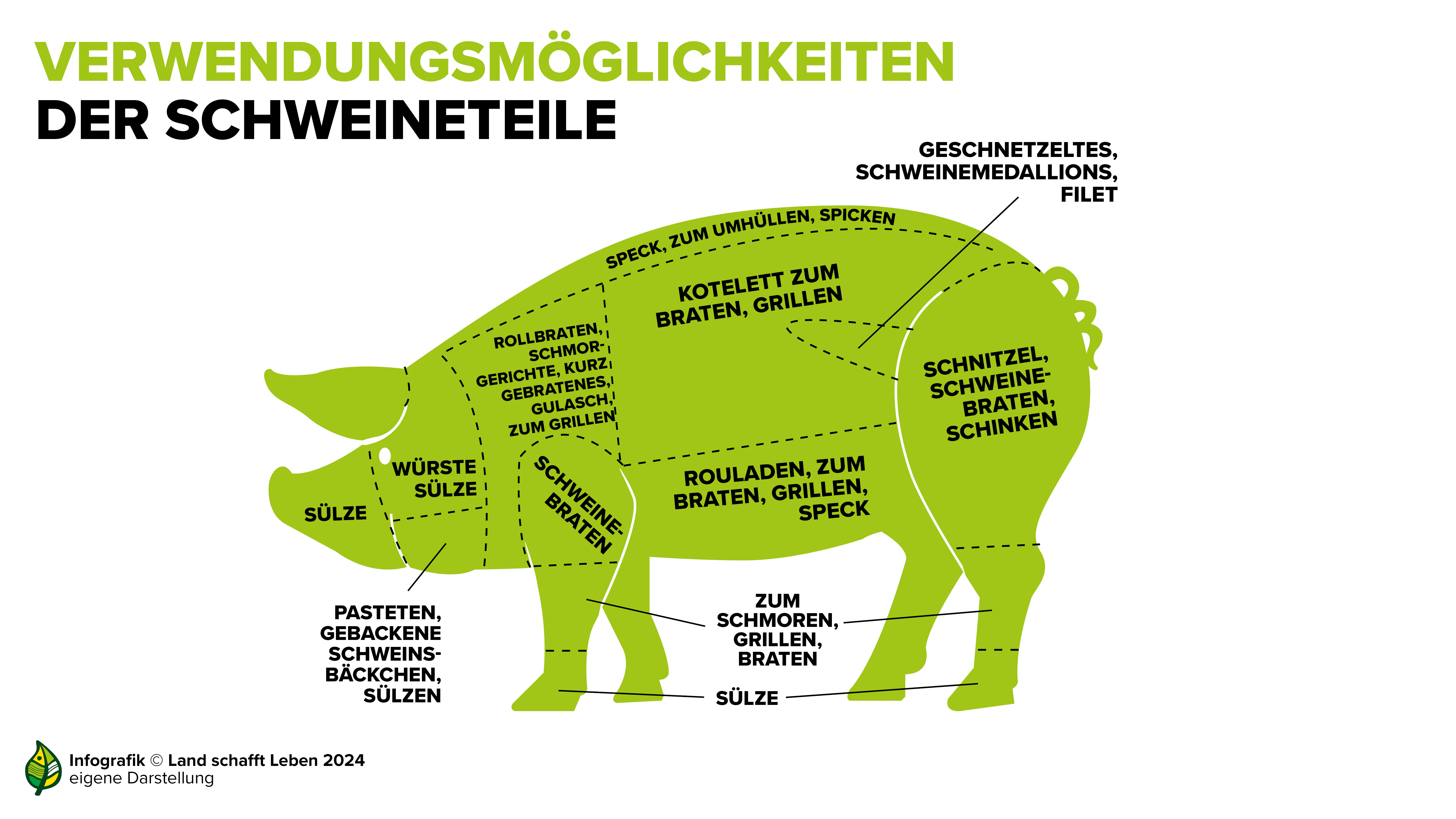 Infografiken zum Schwein I Land schafft Leben