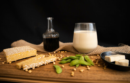 Soja-Produkte | © Land schafft Leben Tempeh, Sojabohnen, Edamame, Sojasauce, Sojadrink, Tofu | © Land schafft Leben
