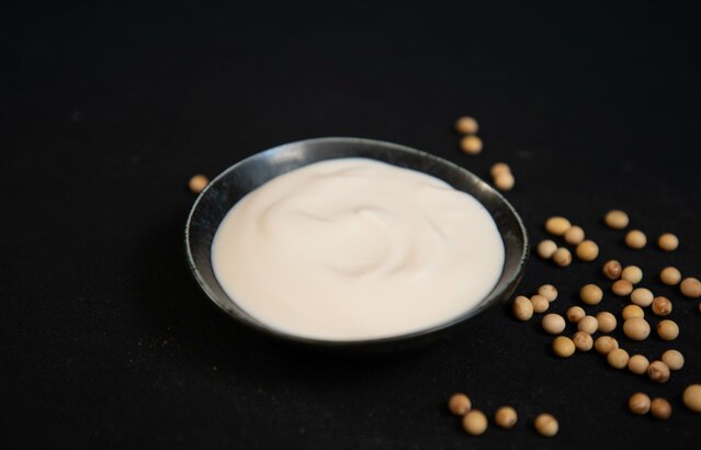 Soja-"Joghurt" in einer Schale | © Land schafft Leben