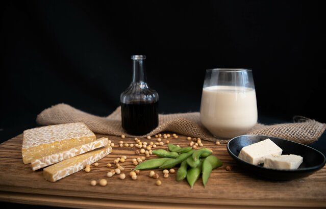 unterschiedliche Sojaprodukte wie Tempeh, Sojasauce, Tofu, Edamame und Sojadrink | © Land schafft Leben