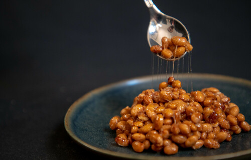 Natto auf Teller mit Löffel, der das Natto auseinanderzieht. So sieht man die Fäden.  | © Land schafft Leben