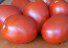 tomaten oval | © Land schafft Leben, 2016