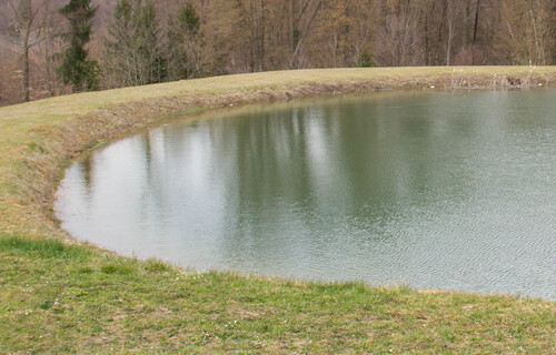 paradeiser wasser | © Land schafft Leben, 2016