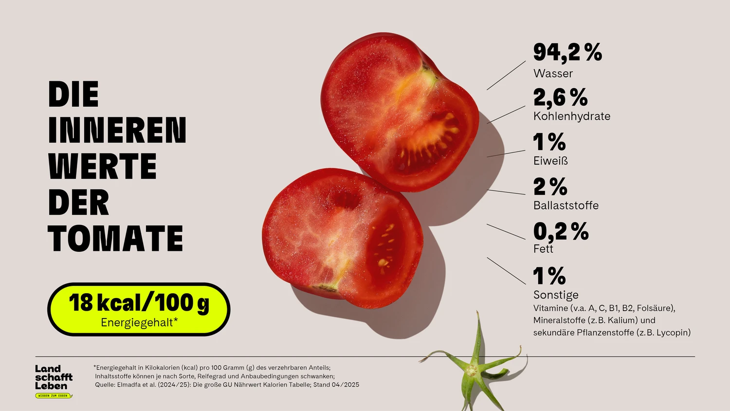 welchen dünger brauchen heidelbeeren Bio Heidelbeer Dünger flüssig 1 L main image 1