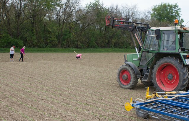 Traktor und Arbeiter stehen in Zuckerrübenfeld | © Land schafft Leben