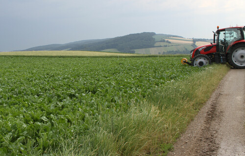 Traktor steht halb in Zuckerrübenfeld | © Land schafft Leben