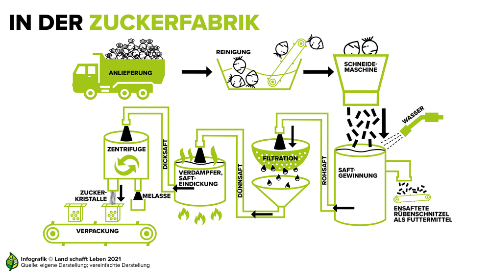 Infografik zum Ablauf in der Zuckerfabrik | © Land schafft Leben