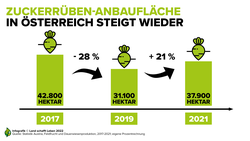 Infografik zur Steigung der Anbauflächen von Zuckerrüben in Österreich | © Land schafft Leben
