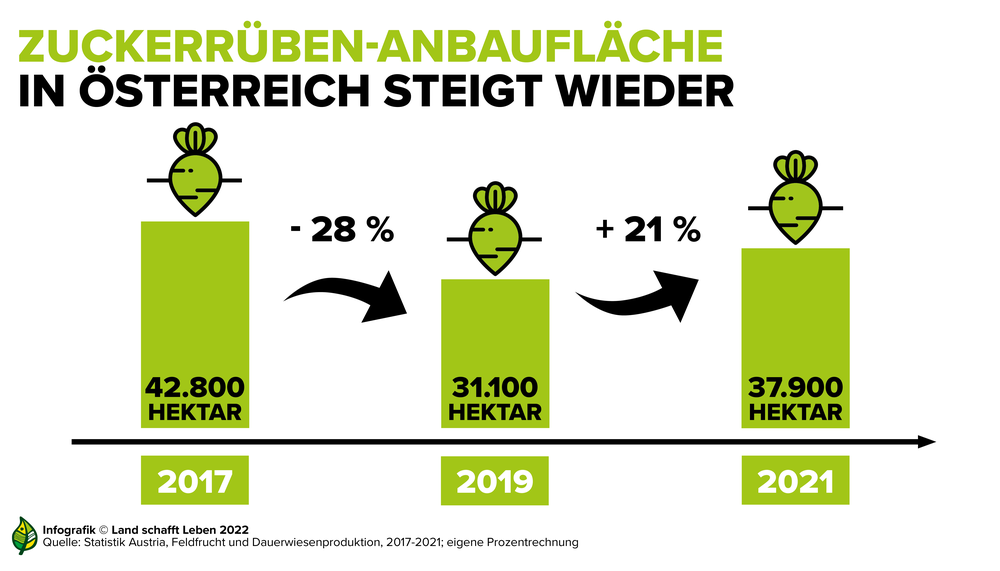 Infografik zur Steigung der Anbauflächen von Zuckerrüben in Österreich | © Land schafft Leben