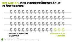 Infografik zum Bioanteil an der Gesamtanbaufläche von Zuckerrüben in Österreich | © Land schafft Leben