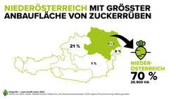 Infografik zu den Zuckerrüben-Anbauflächen der Bundesländer in Österreich | © Land schafft Leben