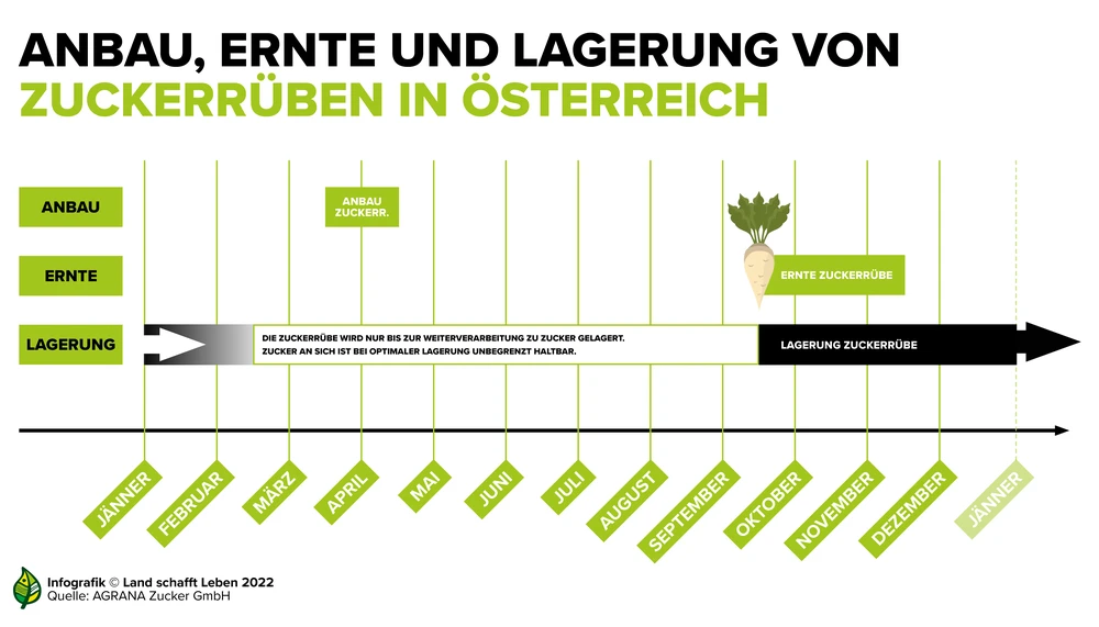 reverse escape pedale gold Tidyard Mülltonnenbox Holz, Mülltonnenbox spiraledge:8117015 Color:Satin Doppio / Gunmetal