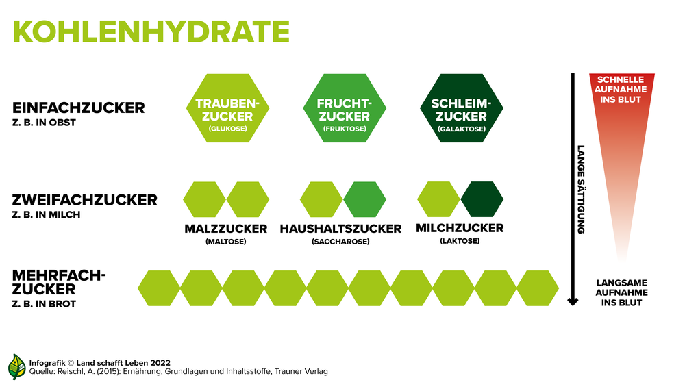 Infografik zu den den Kohlenhydraten Einfachzucker, Zweifachzucker und Mehrfachzucker | © Land schafft Leben