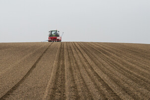 Traktor fährt auf Zuckerrübenfeld | © Land schafft Leben
