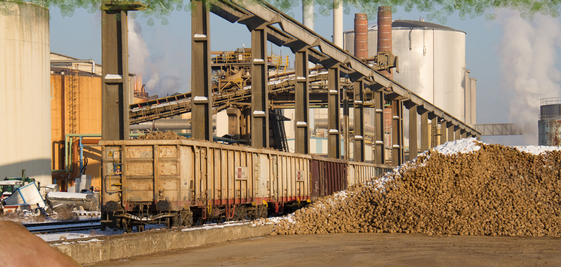 Haufen Zuckerrüben neben Fabrik | © Land schafft Leben