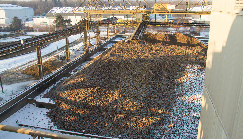 Zuckerrüben außerhalb einer Zuckerfabrik | © Land schafft Leben