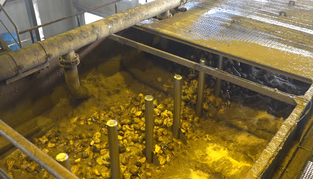 INVERTOFIX Imker-Ergänzungsfutter – 250 Ml Zur Herstellung Von Invertsirup Aus Haushaltszucker, Spart Bis Zu 50 %