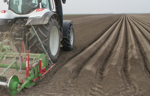 Traktor fährt auf Zwiebelfeld | © Land schafft Leben