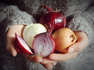 Hände halten aufgeschnittene und ganze rote und weiße Zwiebeln | © Land schafft Leben, 2018