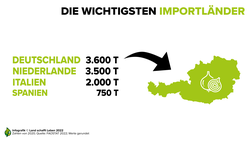 Infografik zu den wichtigsten Importländern von Zwiebeln nach Österreich | © Land schafft Leben