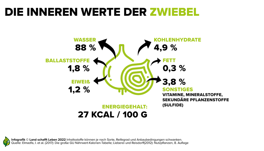 Infografik zu den Inhaltsstoffen der Zwiebel | © Land schafft Leben