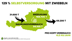 Infografik zu 129 Prozent Selbstversorgung mit Zwiebeln in Österreich | © Land schafft Leben