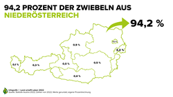 Infografik zu Niederösterreich als größtem Anbaugebiet von Zwiebel des Landes | © Land schafft Leben