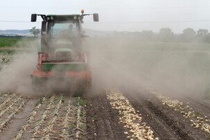 Traktor fährt auf Zwiebelfeld | © Land schafft Leben